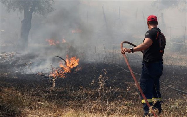 Ηράκλειο: Αγροτοδασική πυρκαγιά στον Πατσίδερο